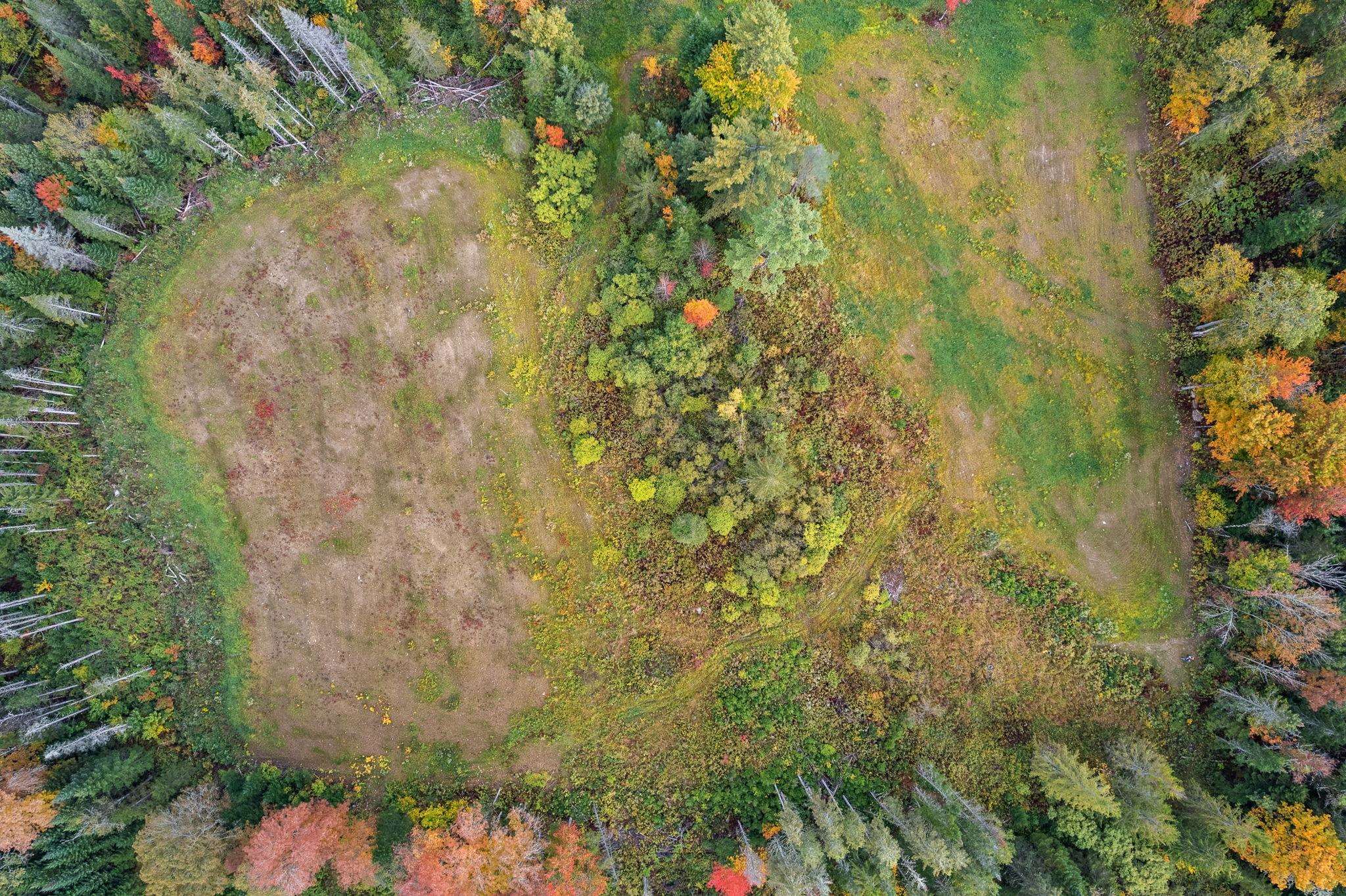 335 Calais Road Worcester, VT 05682 - Photo 5 of 31