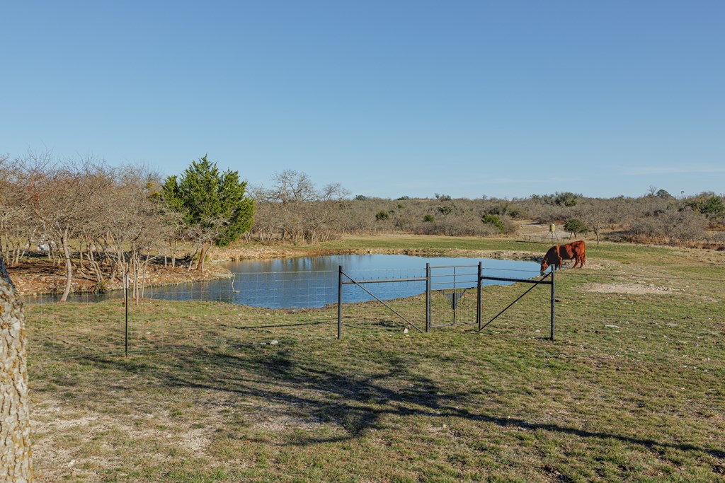 450 Jung Road Harper, TX 78631 - Photo 29 of 50 a view of lake with mountain