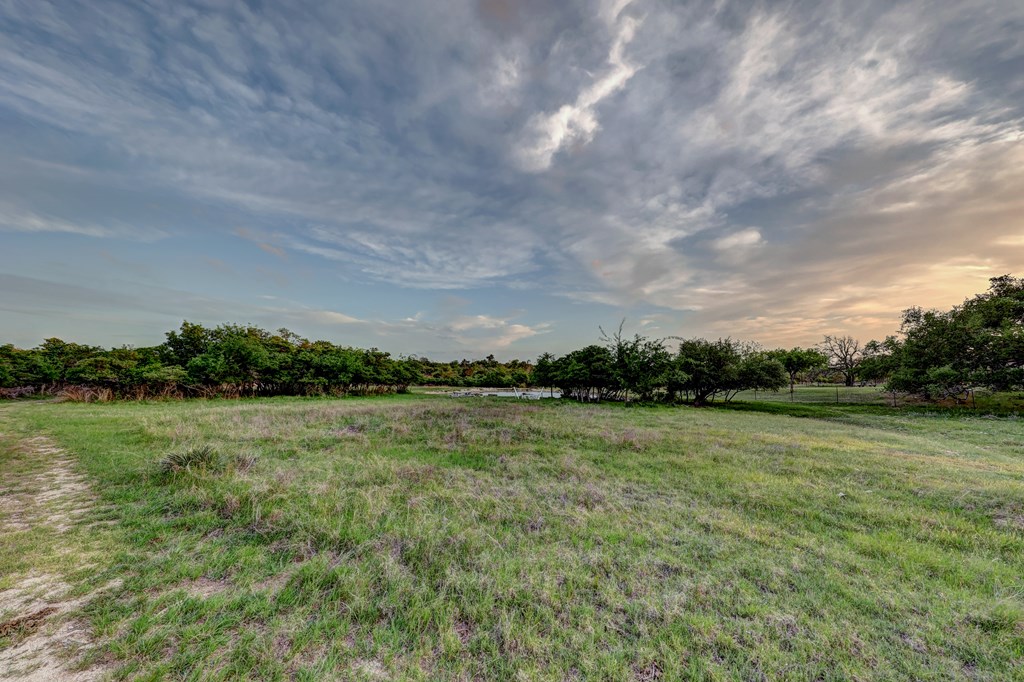450 Jung Road Harper, TX 78631 - Photo 31 of 50 a view of a field with an trees in the background