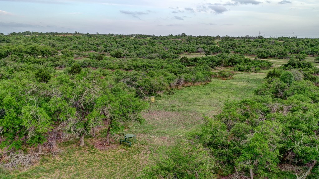 450 Jung Road Harper, TX 78631 - Photo 35 of 50 a view of a big yard with lots of green space and house in the back