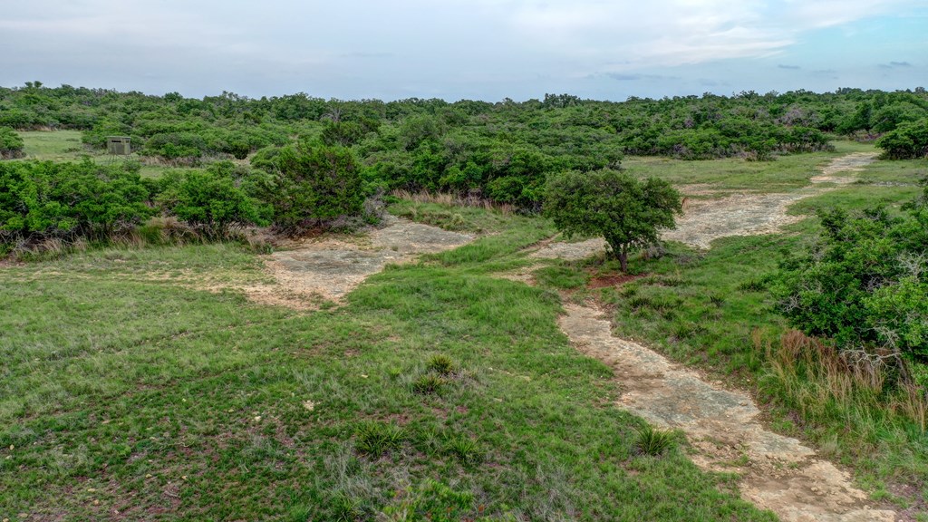 450 Jung Road Harper, TX 78631 - Photo 36 of 50 a view of a lush green forest with lots of trees