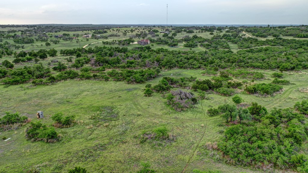 450 Jung Road Harper, TX 78631 - Photo 38 of 50 an aerial view of a houses with a lush green forest