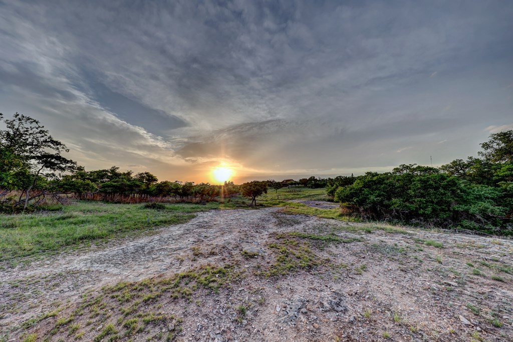 450 Jung Road Harper, TX 78631 - Photo 39 of 50 a view of a yard with large trees