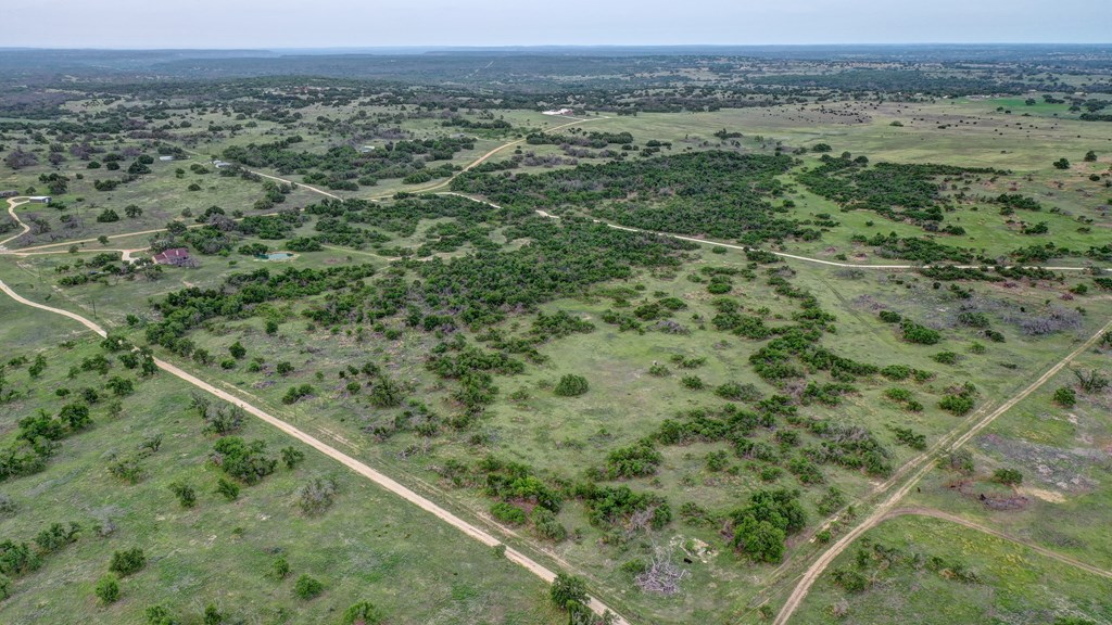 450 Jung Road Harper, TX 78631 - Photo 42 of 50 a view of a field with a forest