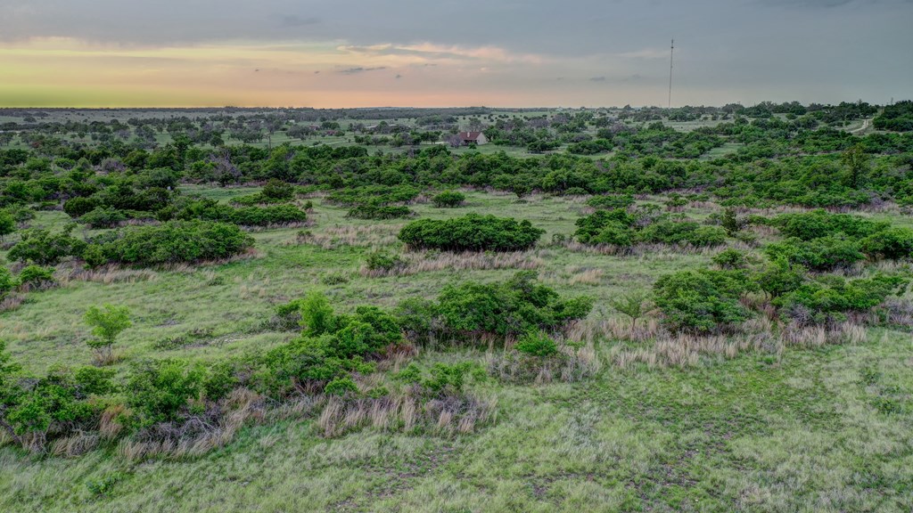 450 Jung Road Harper, TX 78631 - Photo 45 of 50 a view of a city with lush green forest