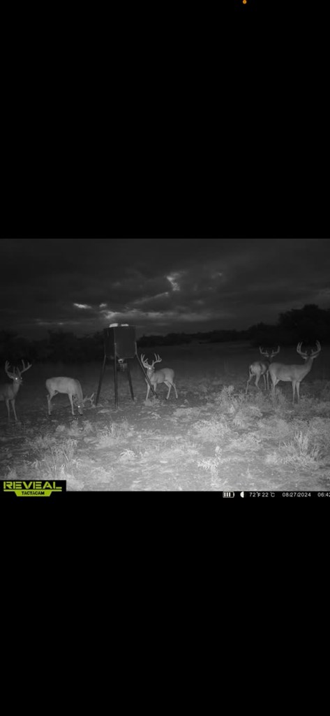 450 Jung Road Harper, TX 78631 - Photo 49 of 50 a view of room with wooden floor