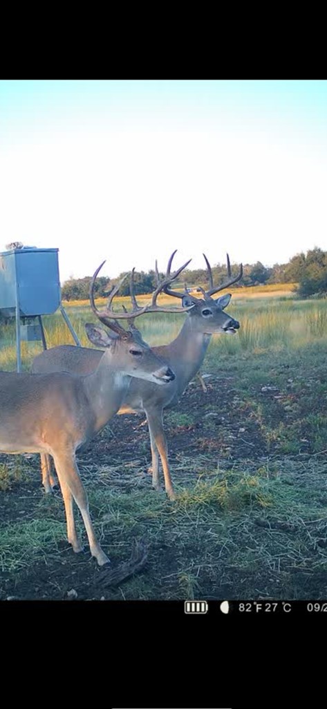 450 Jung Road Harper, TX 78631 - Photo 50 of 50 a black and white photo of a lake