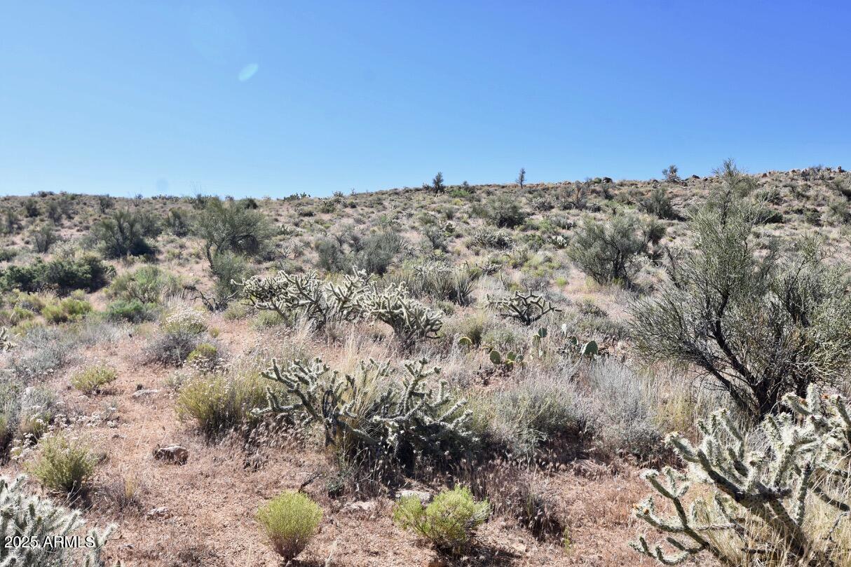 80-acres Bogles Ranch Road Kingman, AZ 86401 - Photo 16 of 21 80 Acres Bogles Ranch Rd - 16