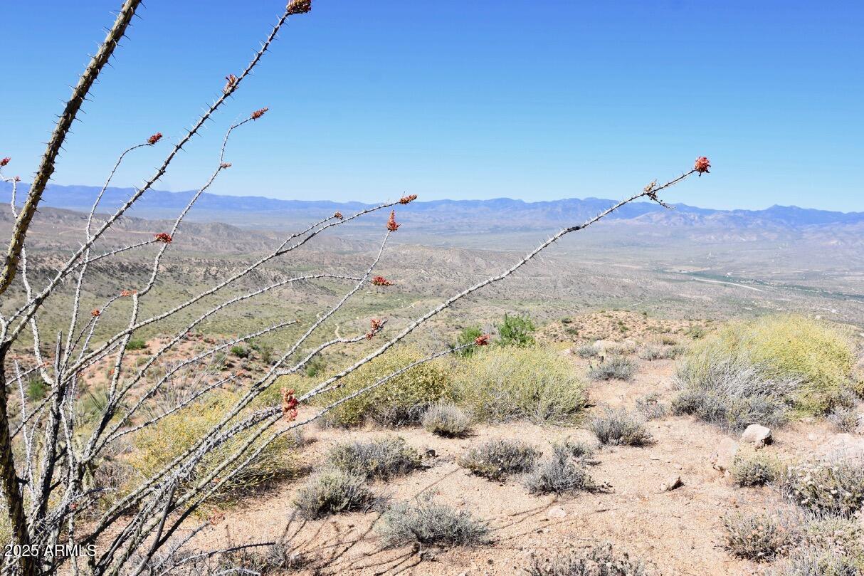 80-acres Bogles Ranch Road Kingman, AZ 86401 - Photo 18 of 21 80 Acres Bogles Ranch Rd - 18