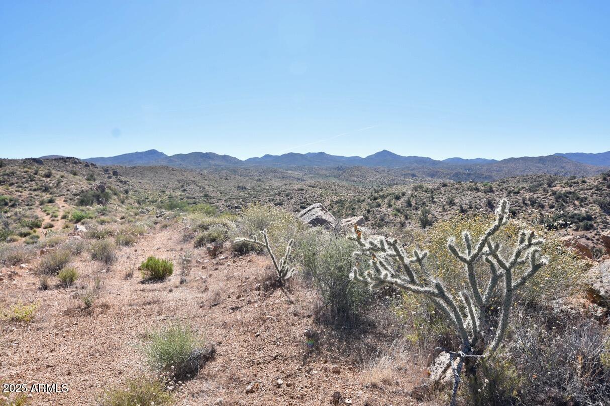 80-acres Bogles Ranch Road Kingman, AZ 86401 - Photo 21 of 21 80 Acres Bogles Ranch Rd - 21