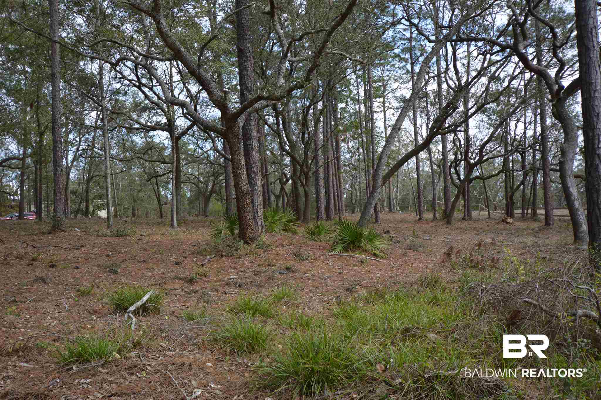 Lot 5 North Bayou Road Lillian, AL 36549 - Photo 10 of 11 Lot 5 high elevation slop
