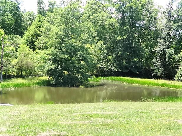 80 Phipps Road Crossville, TN 38571 - Photo 28 of 36 DSC04943