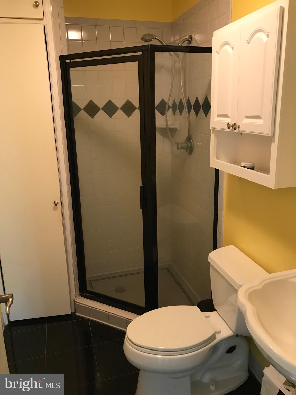 1550 Ridgely Drive Edgewater, MD 21037 - Photo 8 of 22 Hall bath