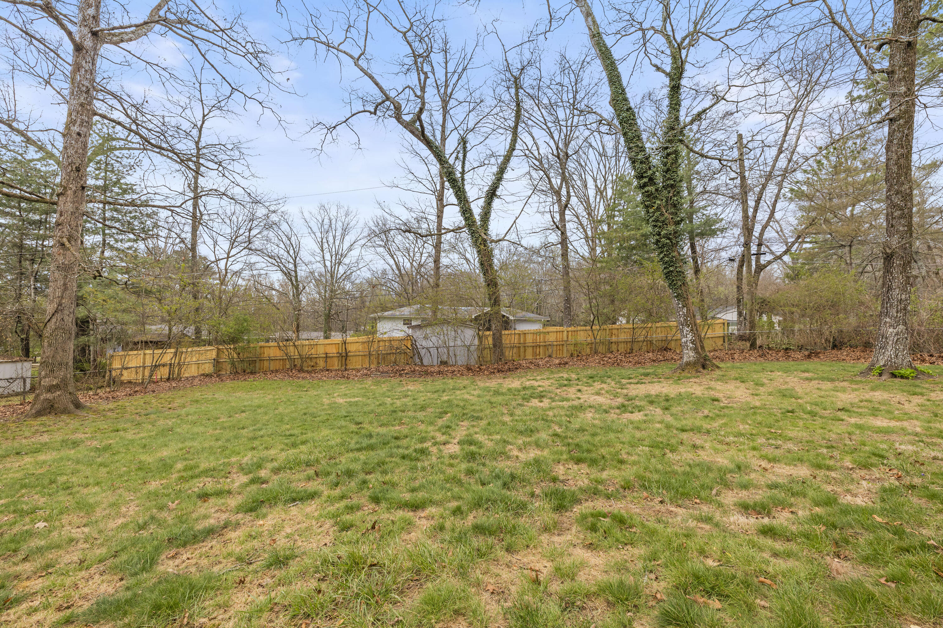 702 Albert Road Signal Mountain, TN 37377 - Photo 21 of 24 07-IMG_0278