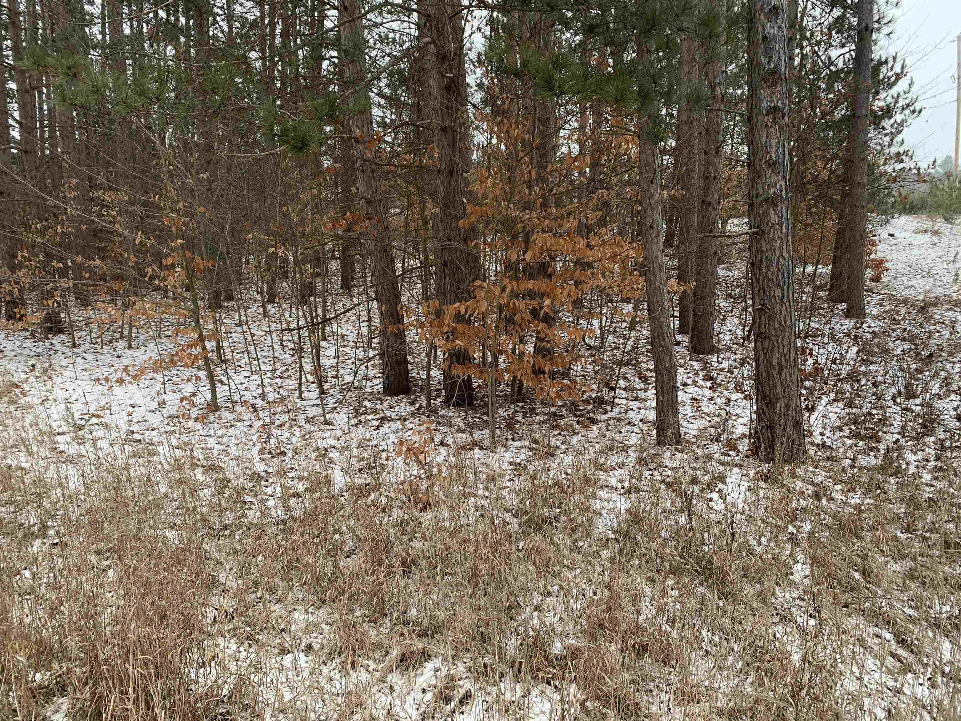 0 South 15 1/2 Road Boon, MI 49618 - Photo 8 of 11
