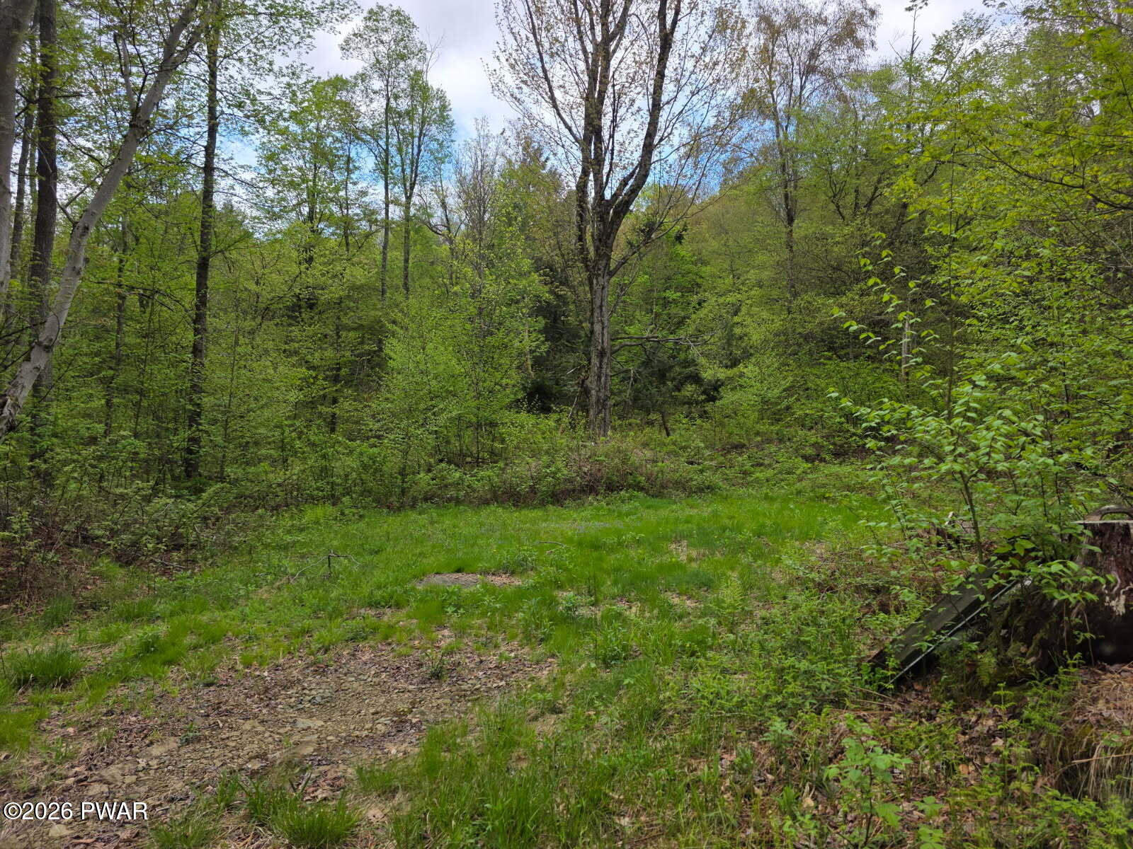 33 Bucks Road Susquehanna, PA 18847 - Photo 17 of 18