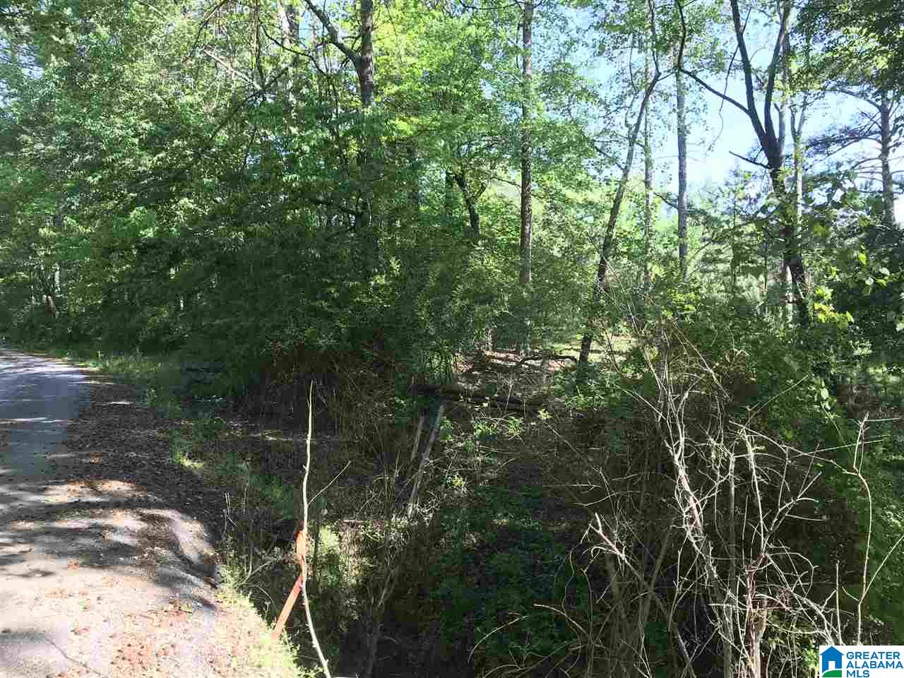 0 Steele Gap Road North, Unit 11 4 Steele, AL 35987 - Photo 17 of 26