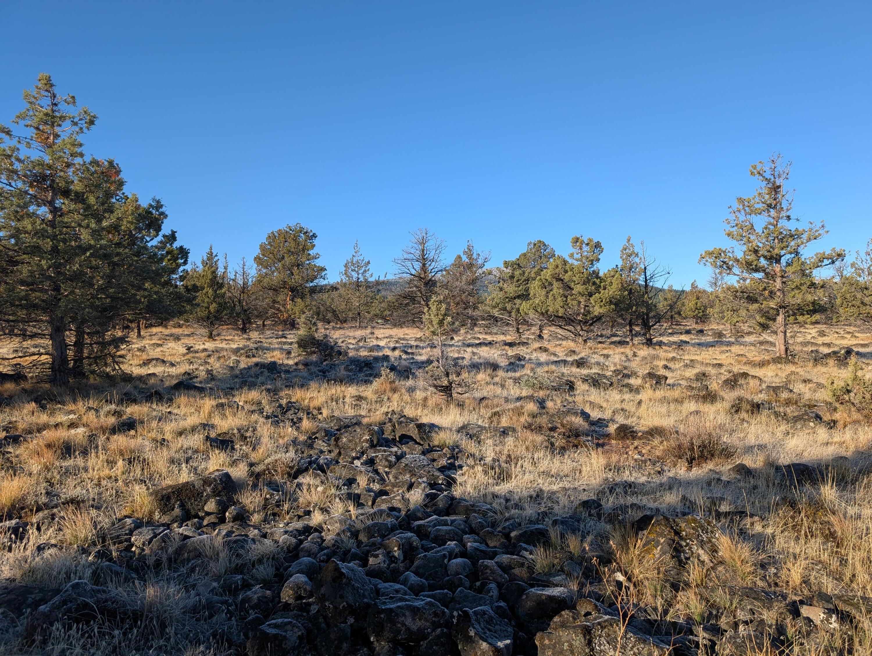 Cedar Trail Klamath Falls, OR 97603 - Photo 10 of 24 PXL_20251027_161858023
