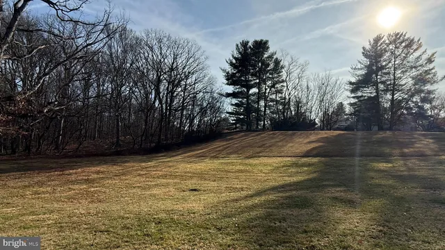 a view of a yard with trees in front of it