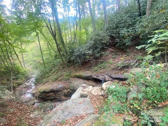 a big yard with lots of green space