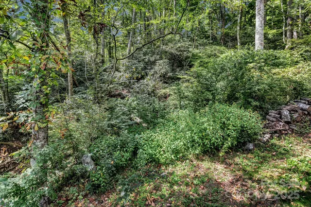 an aerial view of residential house with outdoor space and trees all around