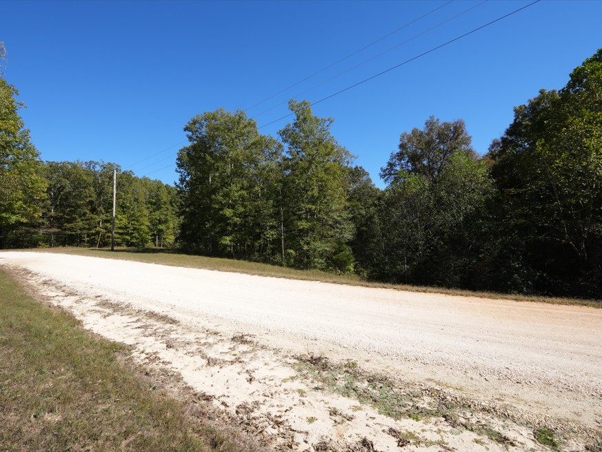 21 Three Rivers Drive Hurricane Mills, TN 37078 - Photo 2 of 6