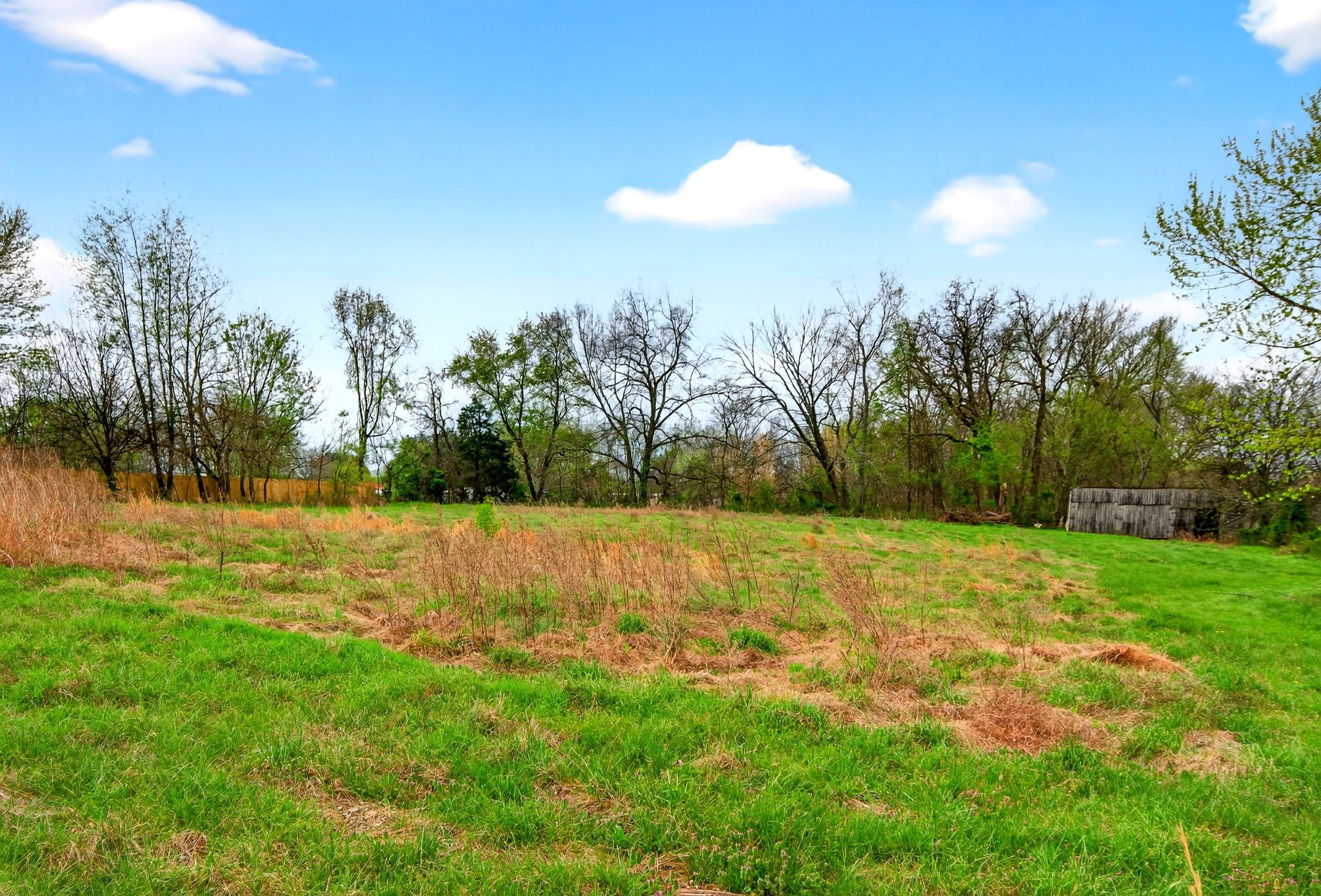946 Clearview Road Cottontown, TN 37048 - Photo 27 of 33 a view of outdoor space with trees all around