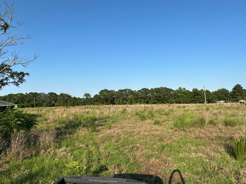 761 Rehobeth Road Dothan, AL 36301 - Photo 9 of 12