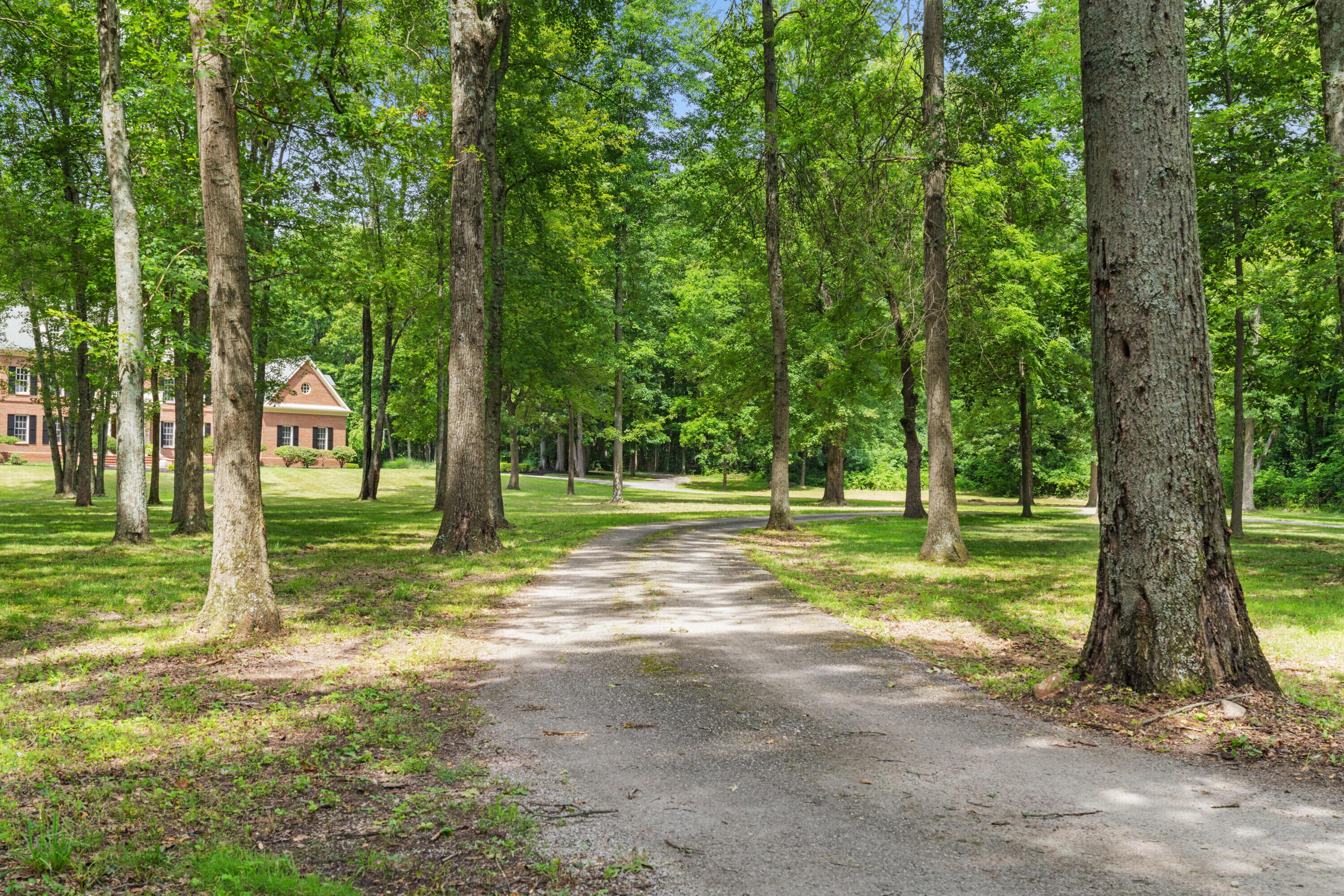 5455 Plantation Road Sunbury, OH 43074 - Photo 8 of 176 Driveway