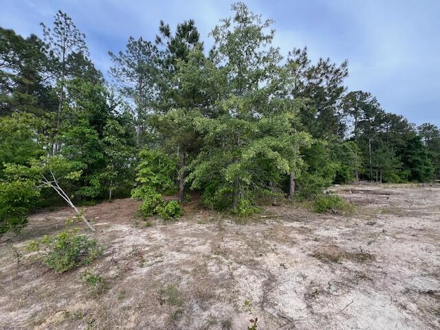 4 Fox Young Road, Unit FYF 4 Wagener, SC 29164 - Photo 8 of 13