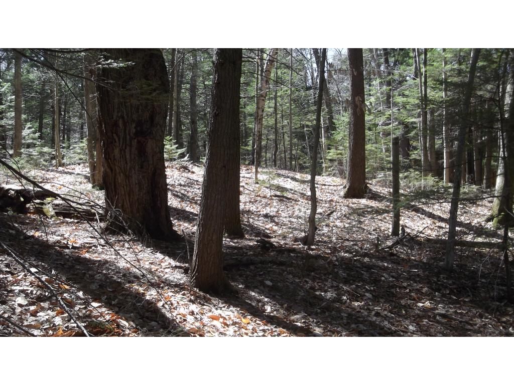48 Appenvel Way Madison, NH 03849 - Photo 5 of 8 Gallery Image 5