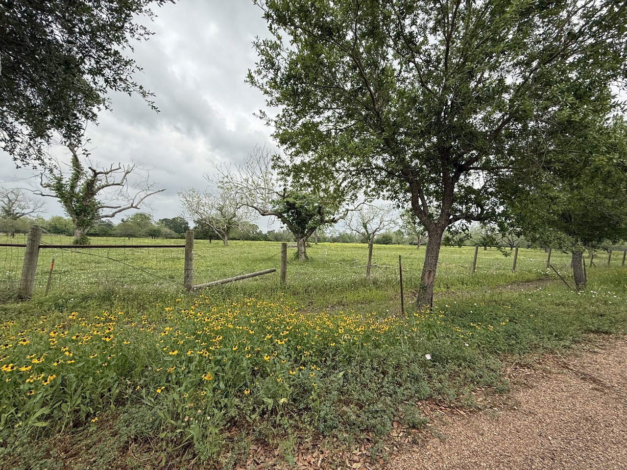 0 Orchard Drive Wharton, TX 77488 - Photo 2 of 8 a view of a park