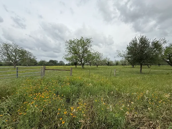 a view of a green field with wooden fence