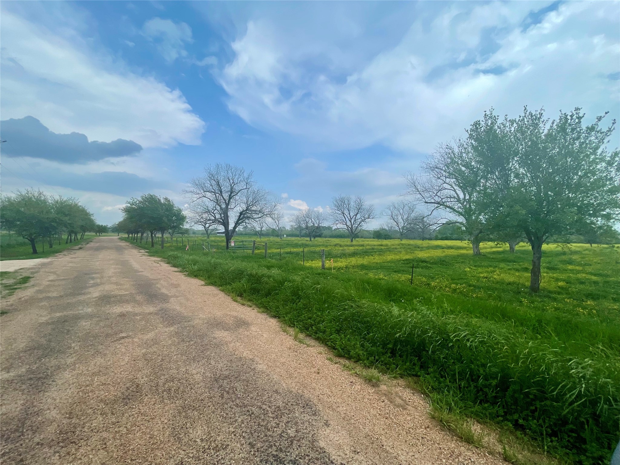 0 Orchard Drive Wharton, TX 77488 - Photo 5 of 8 a view of grassy field with trees