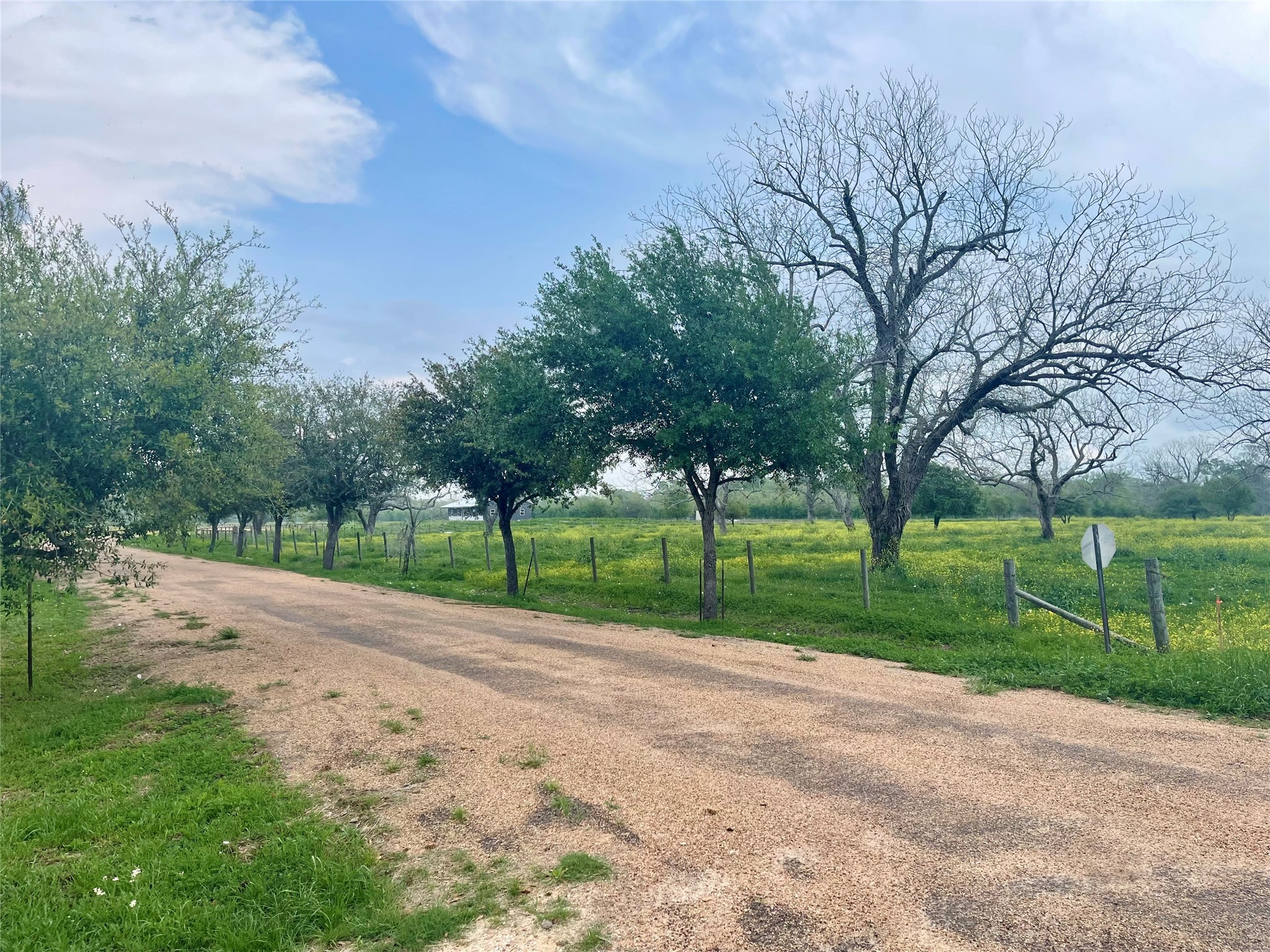 0 Orchard Drive Wharton, TX 77488 - Photo 7 of 8 a view of a park with tree s