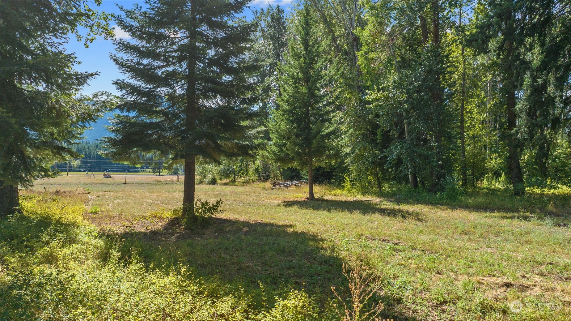 1 Big Creek Road Cle Elum, WA 98922 - Photo 17 of 20 Gallery Image 17