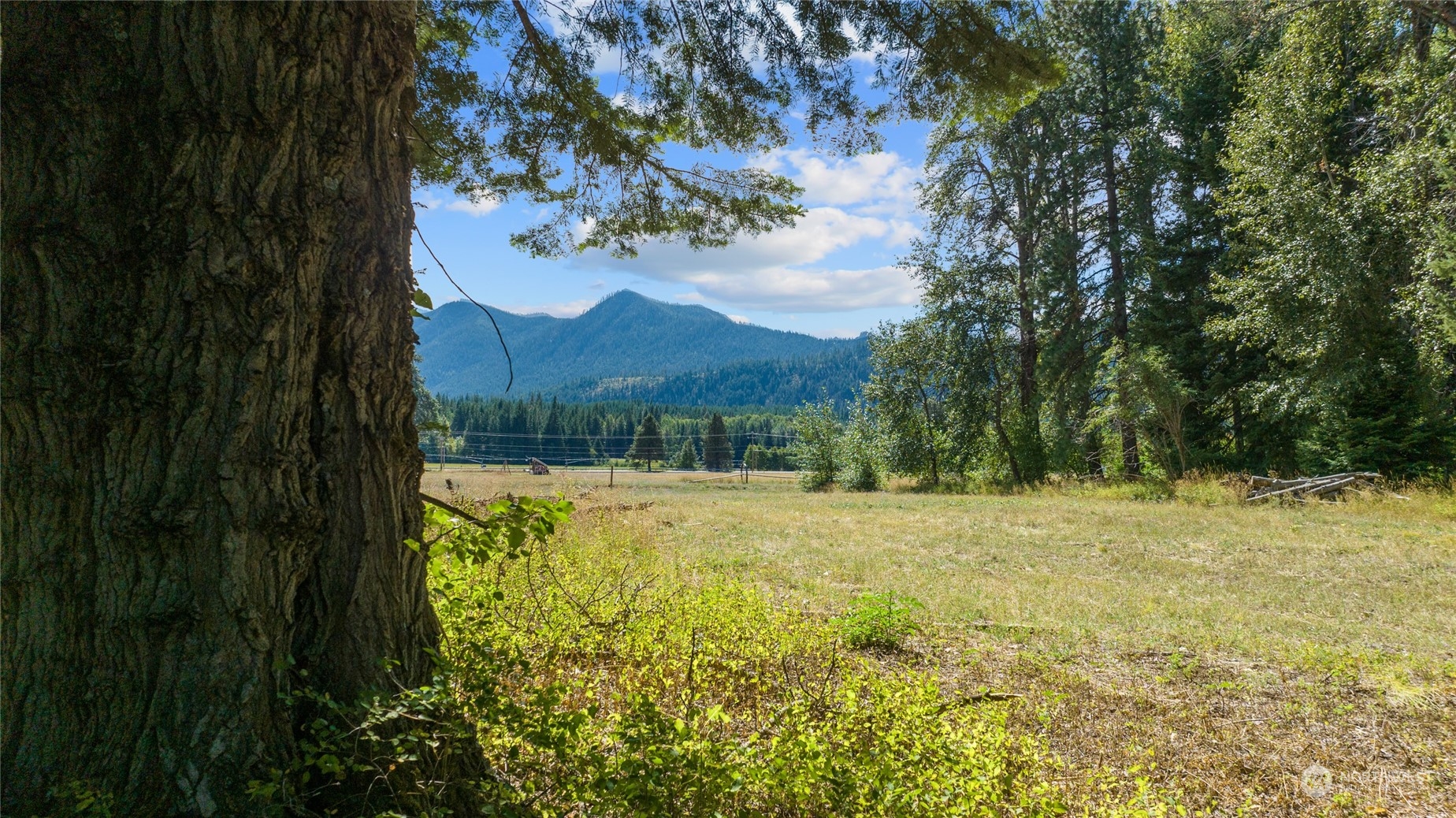 1 Big Creek Road Cle Elum, WA 98922 - Photo 18 of 20 Gallery Image 18