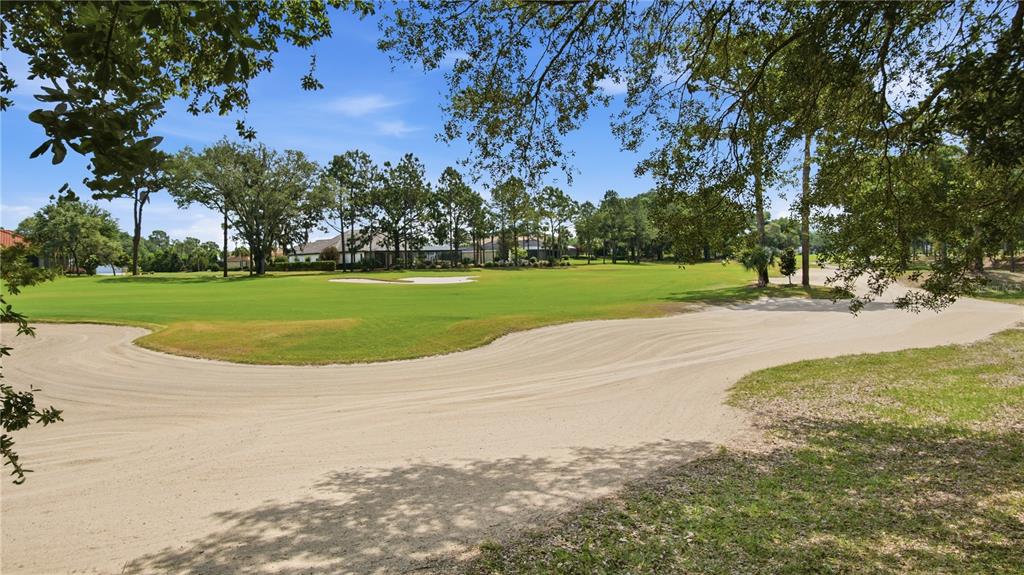 6609 Southwest 179th Ave Road Dunnellon, FL 34432 - Photo 49 of 62