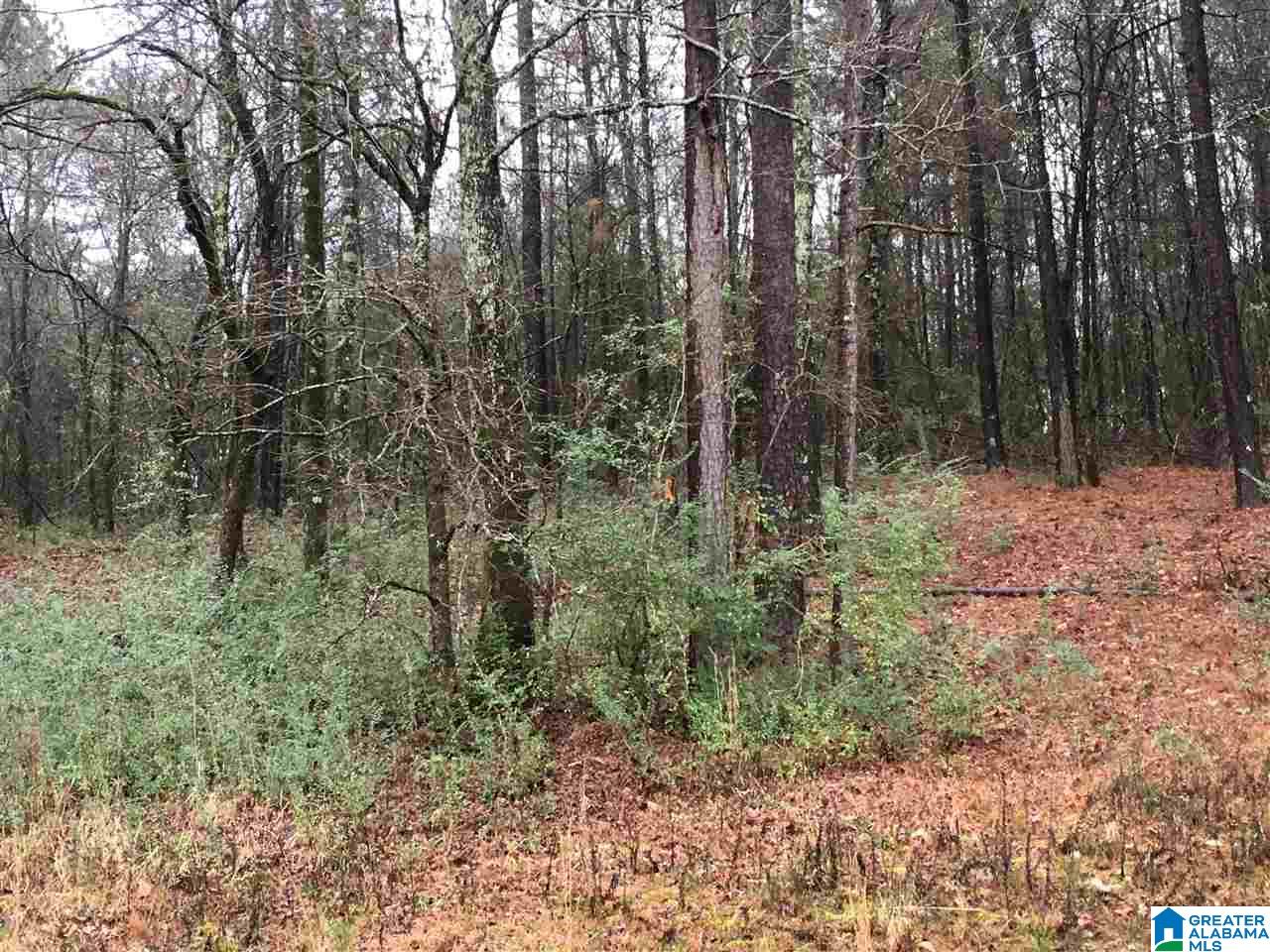 1285 Eureka Road, Unit 1 Lincoln, AL 35096 - Photo 34 of 37