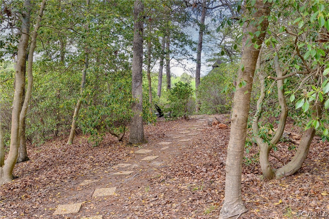 207 Shady Bluff Point Williamsburg, VA 23188 - Photo 35 of 49 a view of a forest with trees