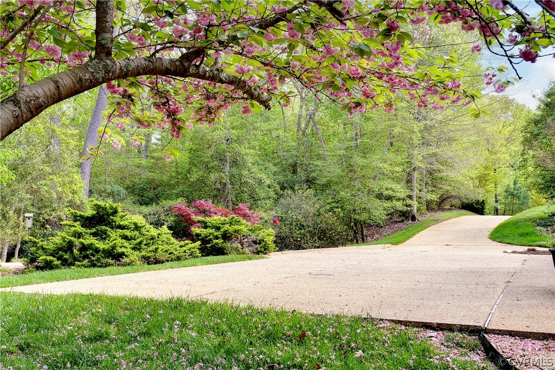 207 Shady Bluff Point Williamsburg, VA 23188 - Photo 4 of 49 a view of garden with flowers and trees