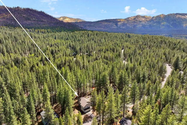 a view of a lush green field with a tree in a yard