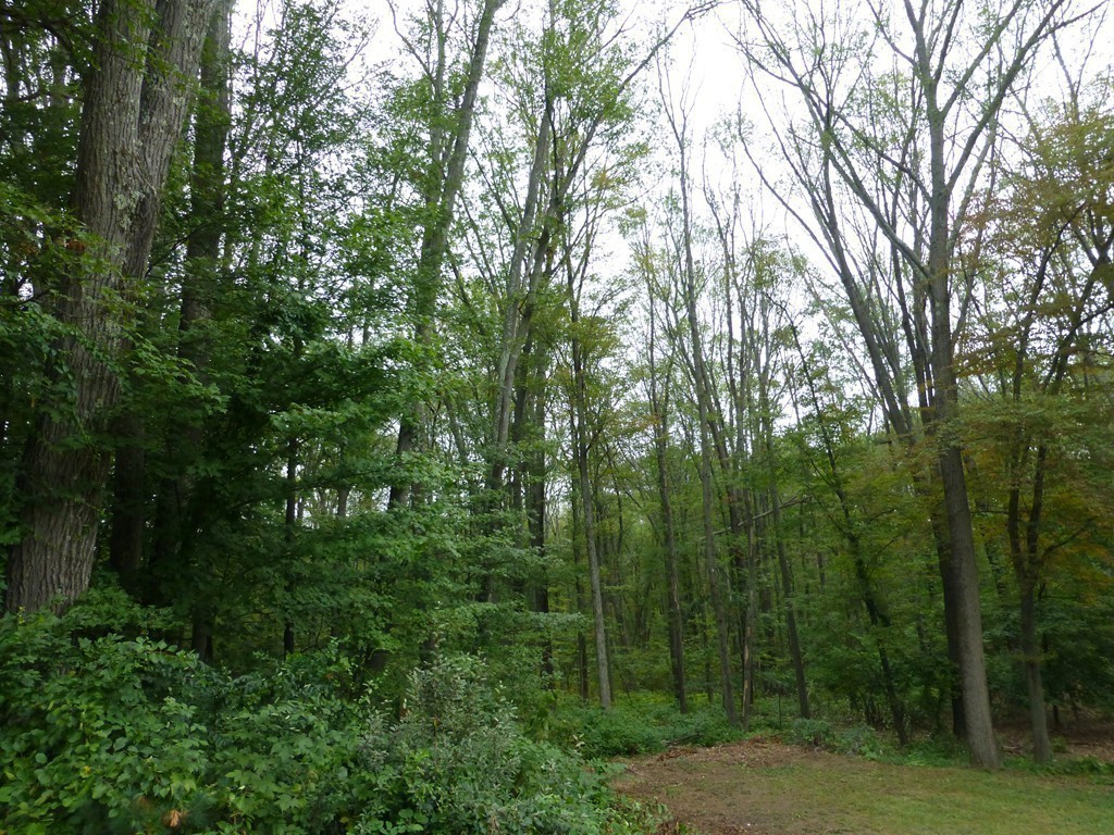 46 Washington Road Northborough, MA 01532 - Photo 24 of 29 Gallery Image 24