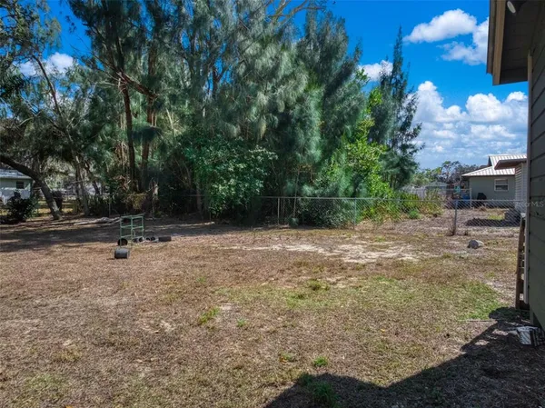 a view of a park with large trees