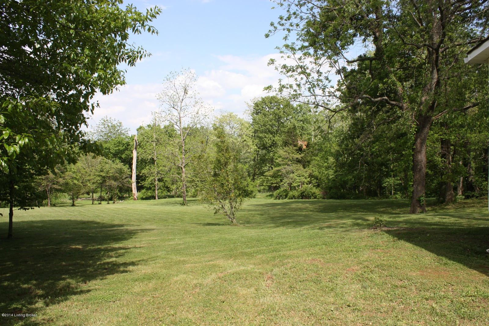 350 Milan Road Brandenburg, KY 40108 - Photo 31 of 31 IMG_0261