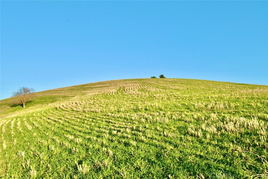 3780 So Gillis Cyn Road Shandon, CA 93461 - Photo 8 of 21 a view of a big room with an empty space