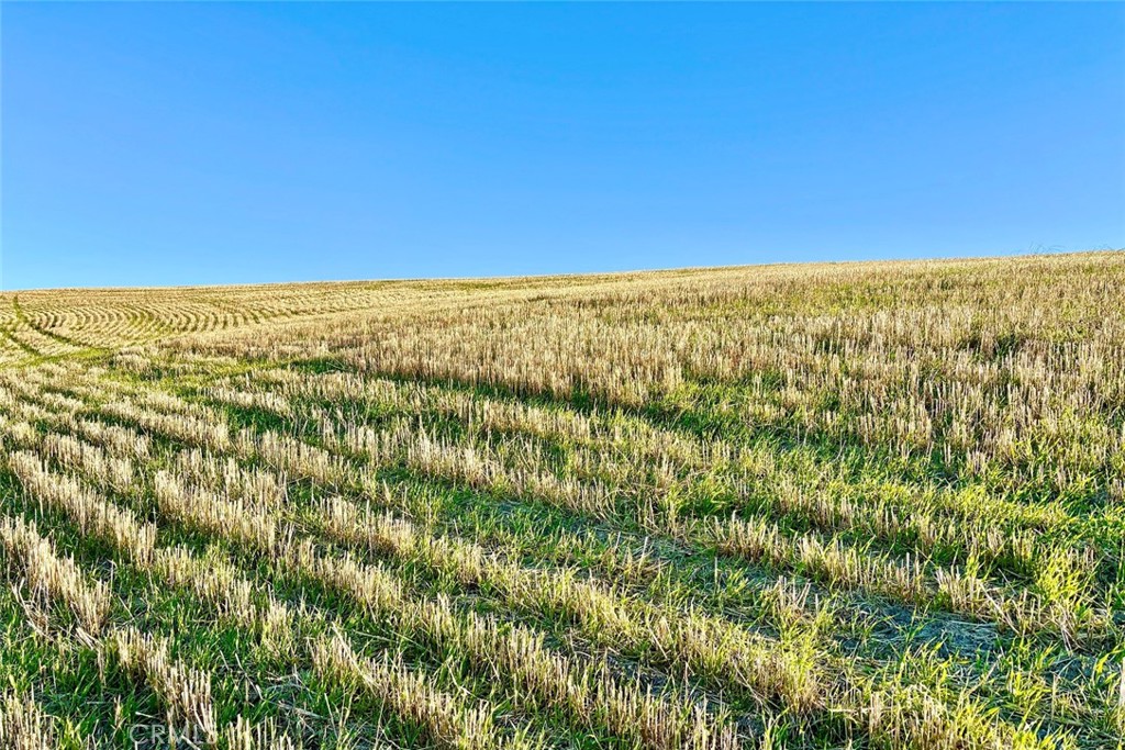 3780 So Gillis Cyn Road Shandon, CA 93461 - Photo 9 of 21 a view of beach and an ocean