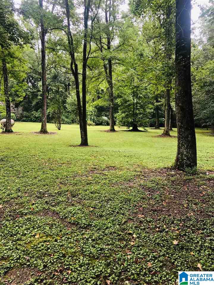 7601 Clayton Road Pinson, AL 35126 - Photo 40 of 44
