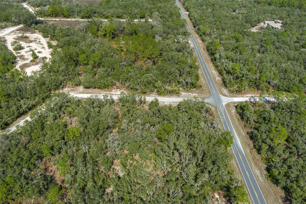 0 Short Stone Drive Webster, FL 33597 - Photo 12 of 17 a view of a forest