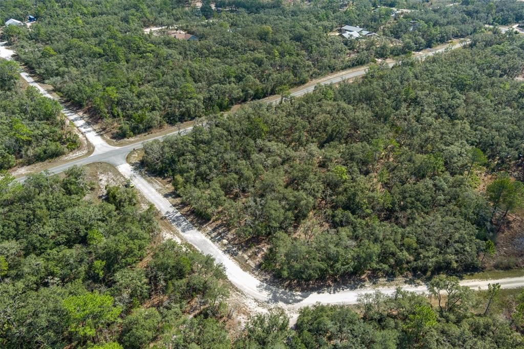 0 Short Stone Drive Webster, FL 33597 - Photo 17 of 17 an aerial view of forest